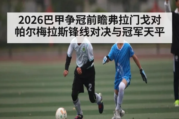 2026巴甲争冠前瞻弗拉门戈对帕尔梅拉斯锋线对决与冠军天平